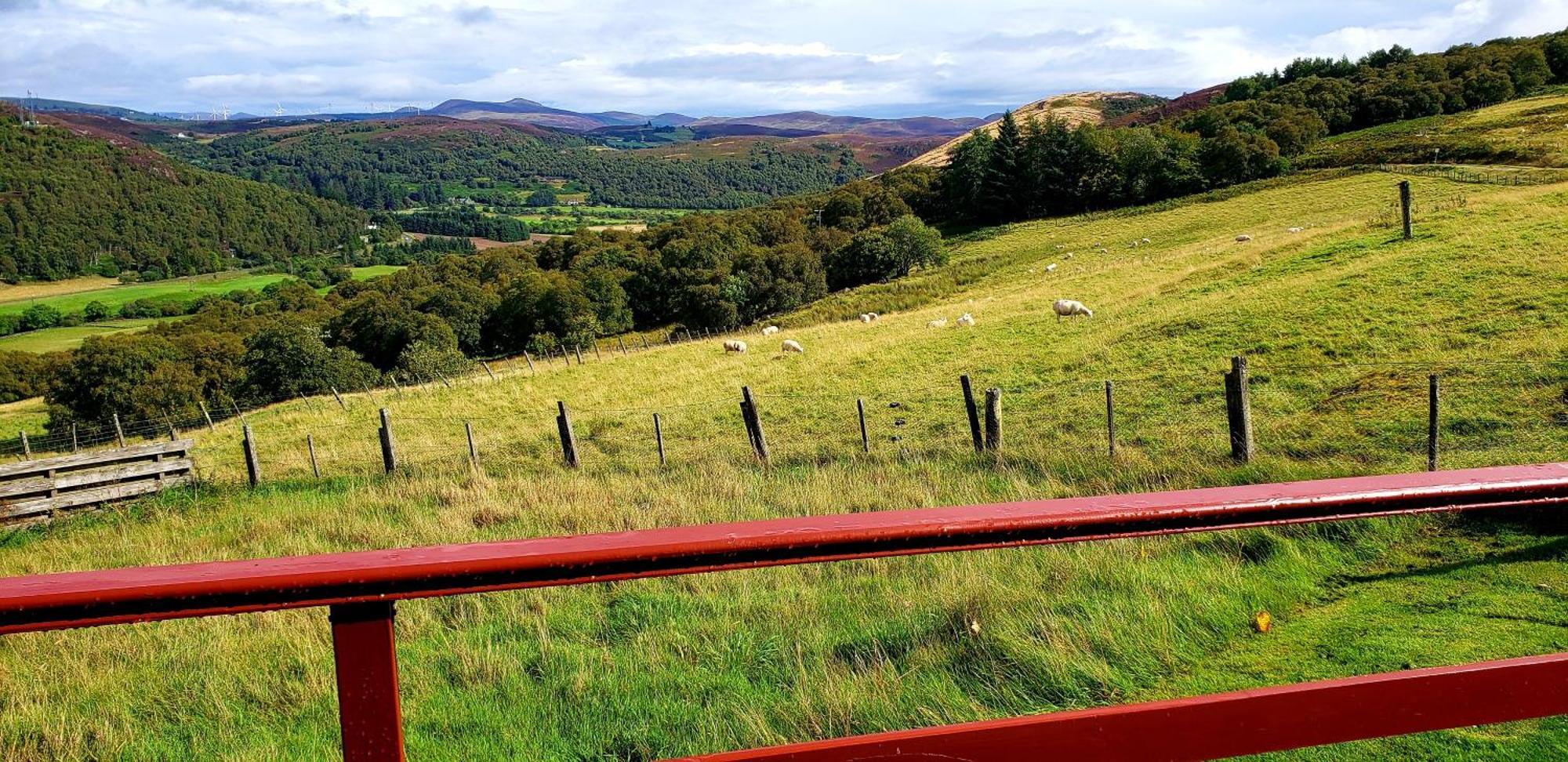 Highland Glen Lodges Rogart Exterior foto